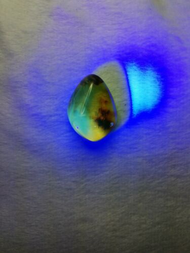 Clear Mexican Amber 8.2g fully polished pendant