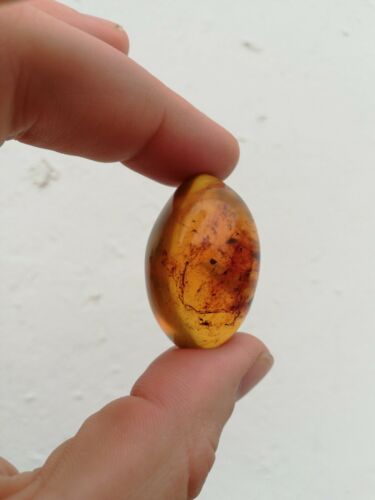 Red green Mexican Amber 10g Good round shape and flat base