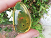 Good Shape Clear pendant blue green Mexican Amber 18.3g