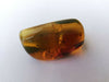 Stingless bees and other insects inside Mexican amber 26.5g