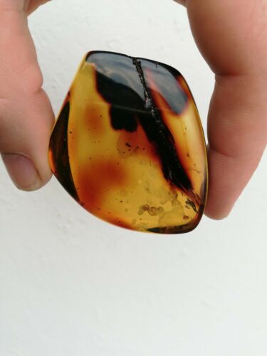 Red green Mexican Amber 31.8g natural full polished