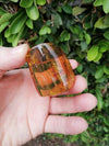 Stingless bees and other insects inside Mexican amber 24.5g