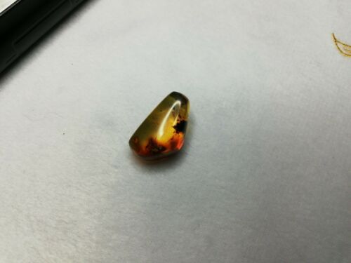 Mexican Amber 4g fully polished blue green gem