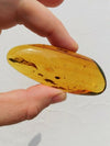 Ants and other insects inside Mexican amber 29.1g