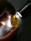 Mexican Amber 7.3g fully polished cabochon pendant