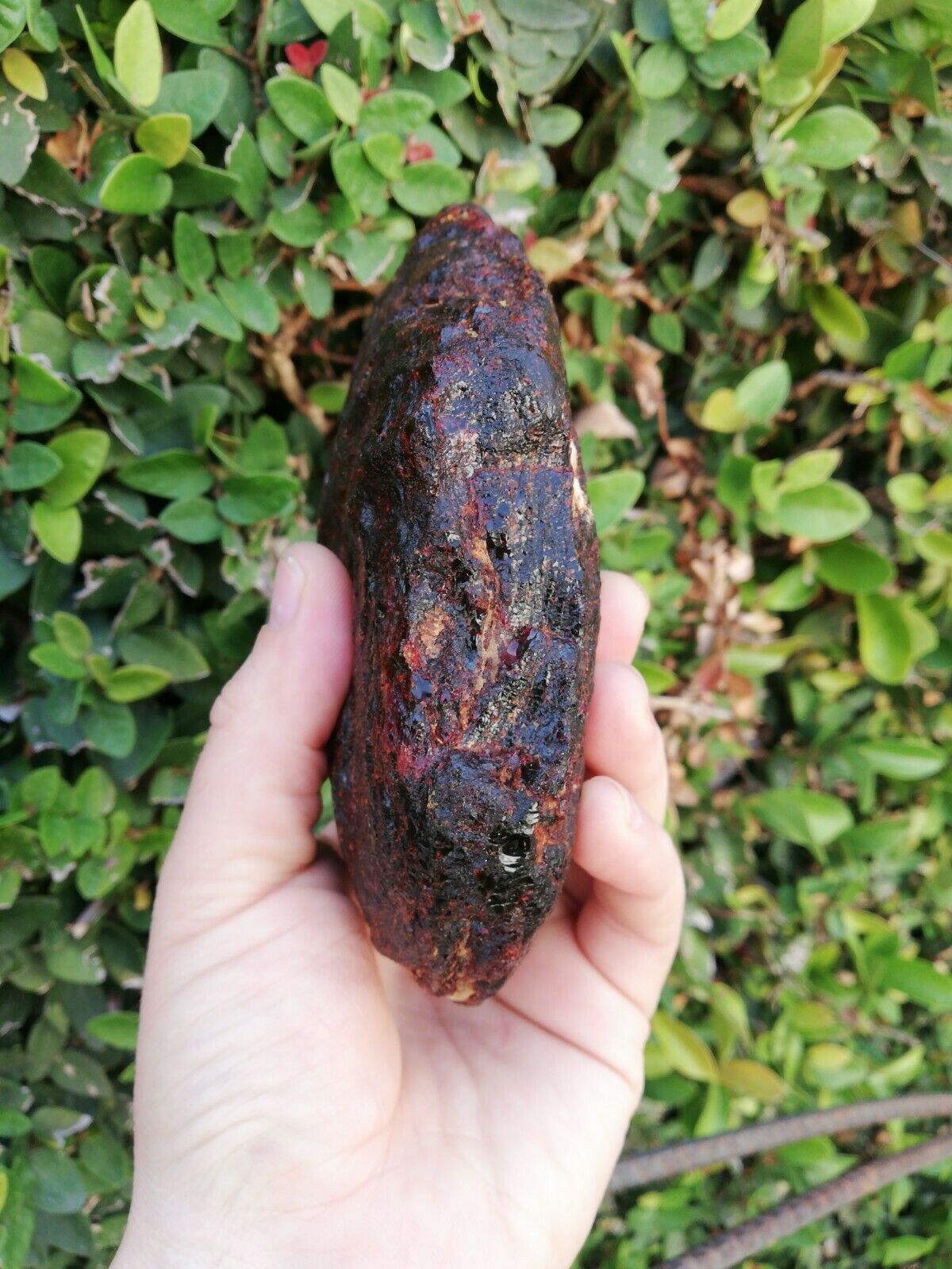 Big and clear Red Mexican Amber 279g with green or blue inside possibly