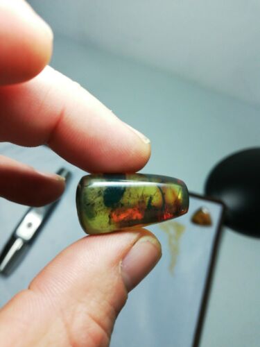 Mexican Amber 4g fully polished blue green gem