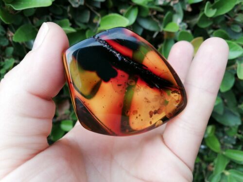 Red green Mexican Amber 31.8g natural full polished