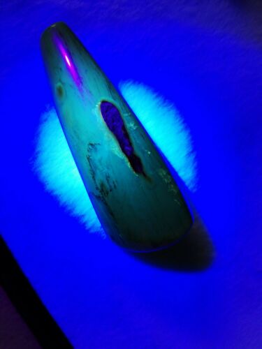 Dark Cognac Mexican Amber 27.9 fully polished blue green