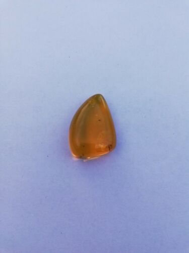 Clear Mexican Amber 5.3g fully polished blue green