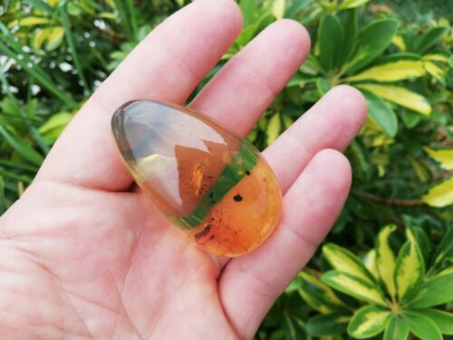 Good Shape Clear pendant blue green Mexican Amber 18.3g