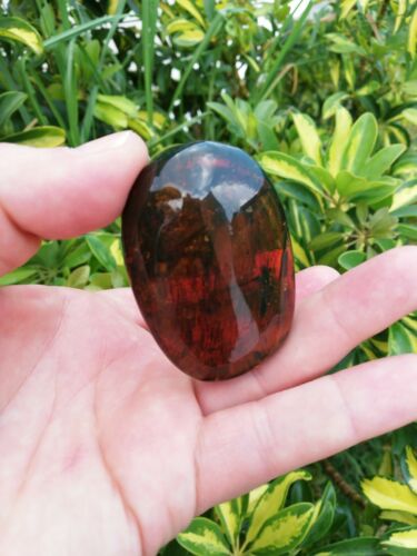 Ants and stingless bees with other insects inside Mexican amber 21.2g