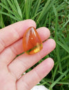 Clear Mexican Amber 5.3g fully polished blue green
