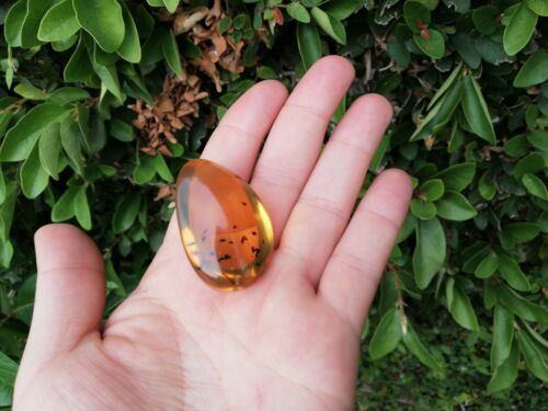Clear blue green Mexican Amber 13.7g Nice Round shape pendant