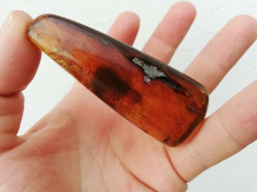 Dark Cognac Mexican Amber 27.9 fully polished blue green