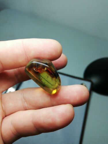 Mexican Amber 4g fully polished blue green gem