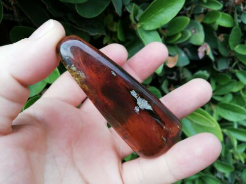 Dark Cognac Mexican Amber 27.9 fully polished blue green
