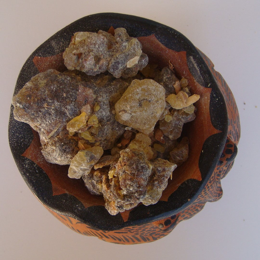 Mayan Chamoula Copal Chiapas Mexico