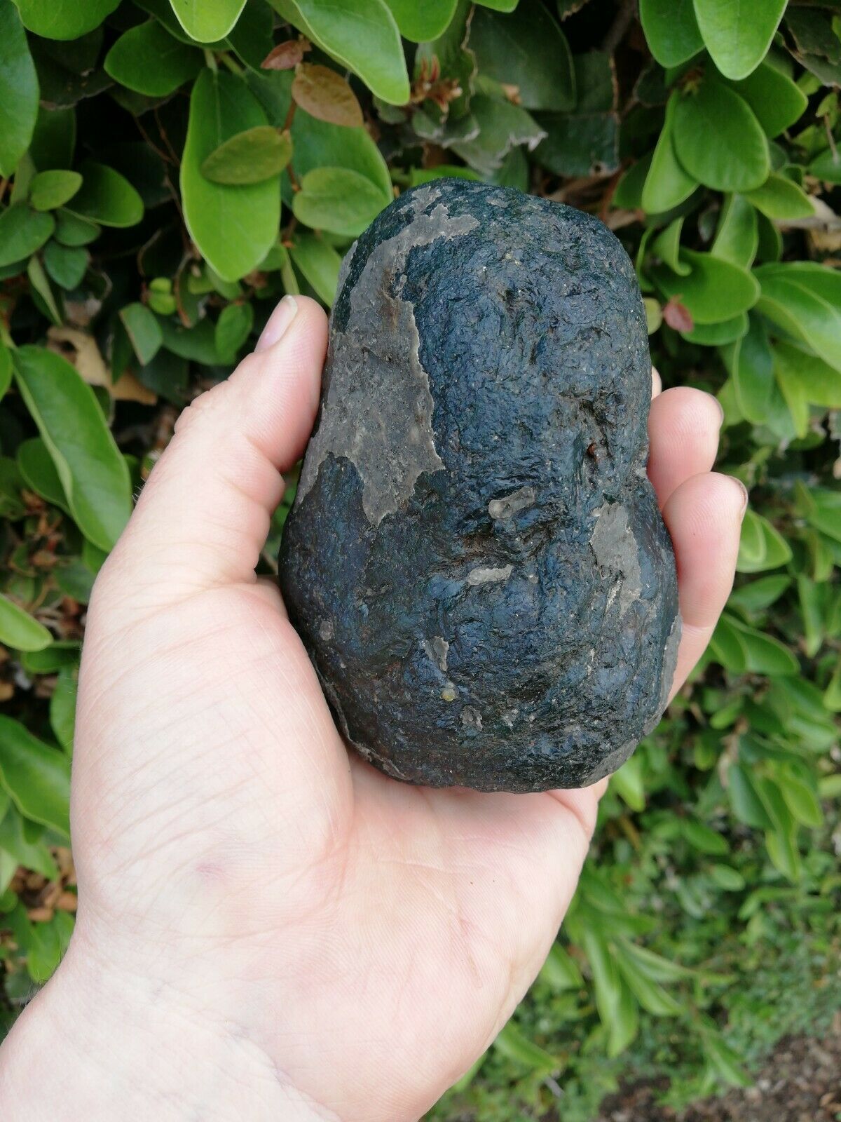 Rare dark blue green Mexican Amber 280g good shape