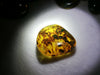 Polishing blue green Mexican Amber 7.6g flat round shape with natural skin