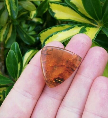 Mexican Amber 5.5g cabochon with natural crust special blue green color