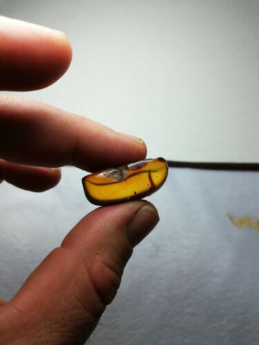 Red cognac Mexican Amber 3.1g fully polished pendant cabochon