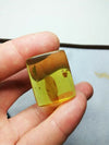 Square cabochon pendant Mexican Amber 5g fully polished with insect debris