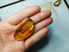 Clear Mexican Amber 10g fully polished with enhydro