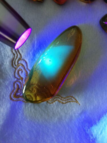 Ants and other insects inside Mexican amber 29.1g