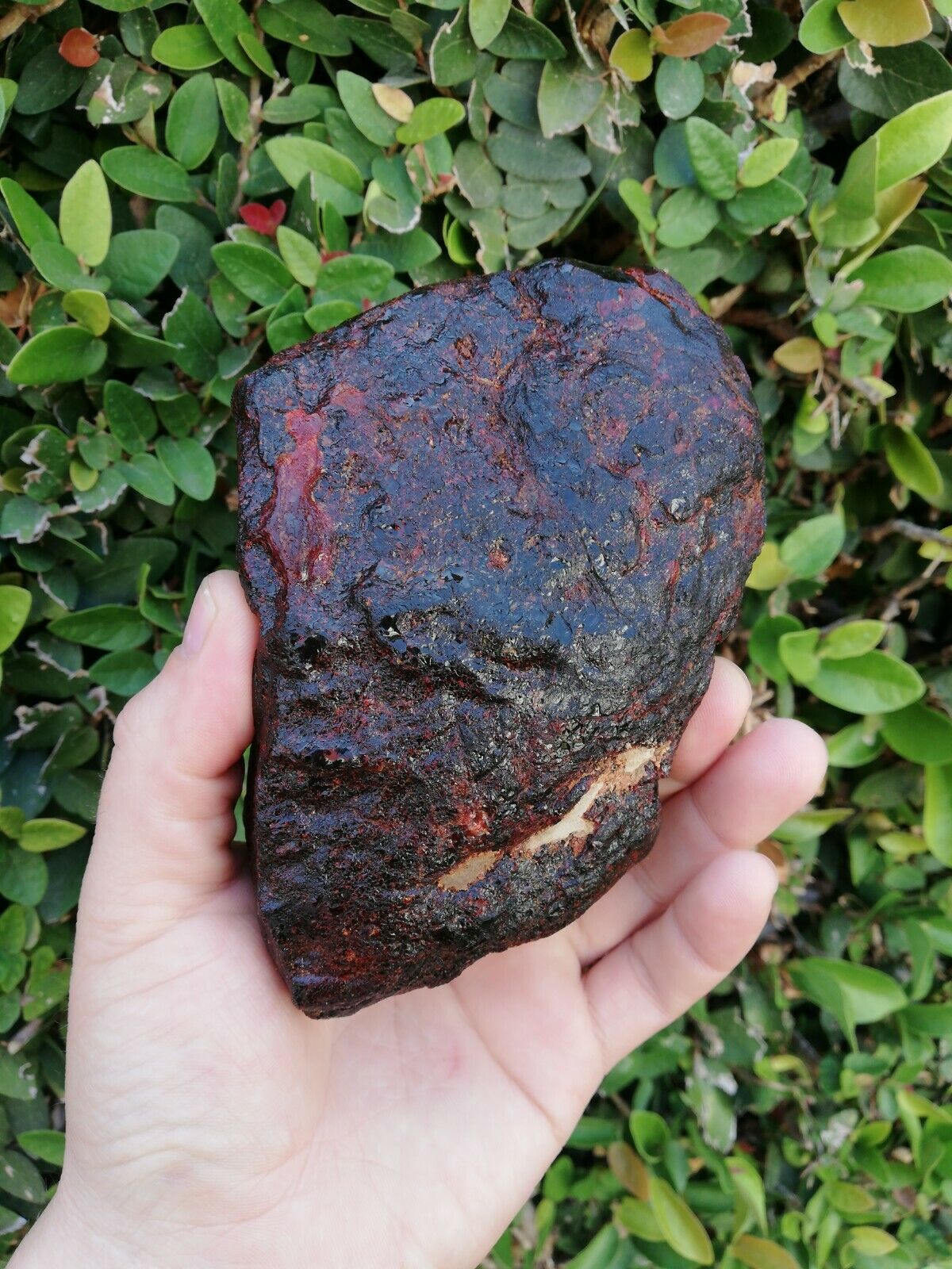 Big and clear Red Mexican Amber 279g with green or blue inside possibly