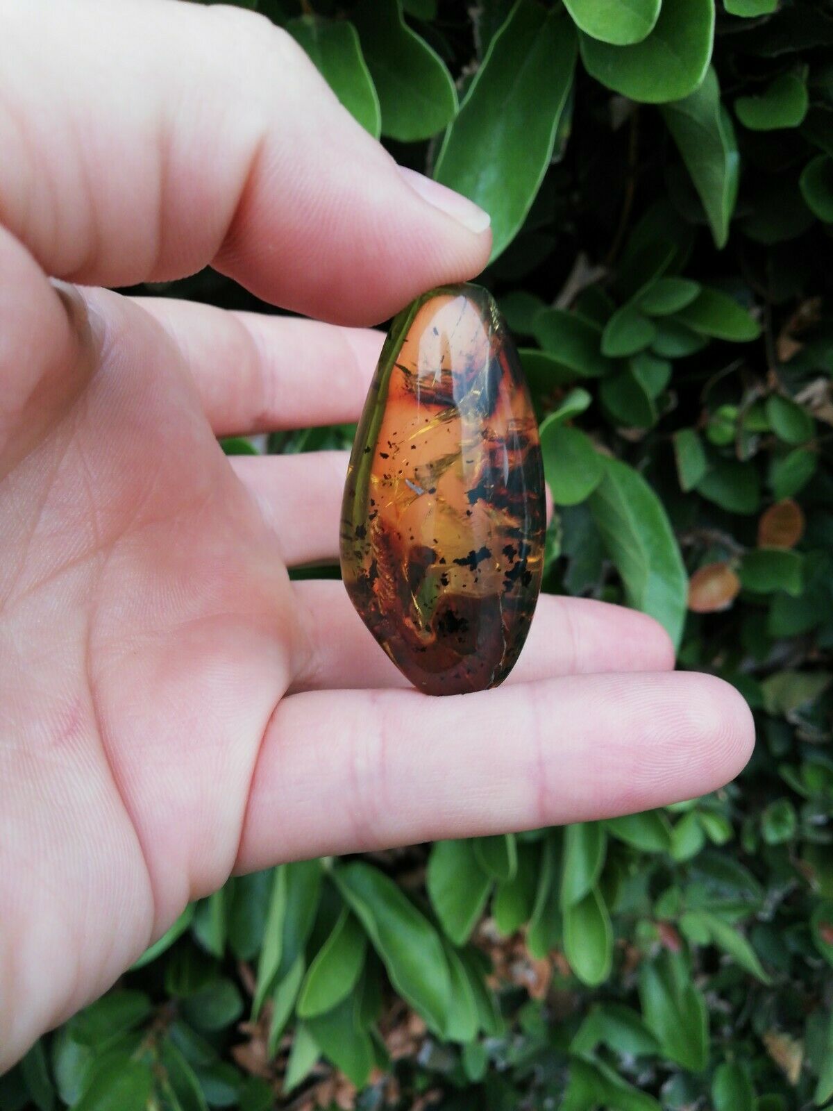 Polished blue green Mexican Amber 11.6g