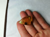 Mexican Amber 4.2g fully polished blue green cabochon pendant