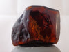 Red Green Mexican Amber Stone insect Inclusion window Polished 7.8g