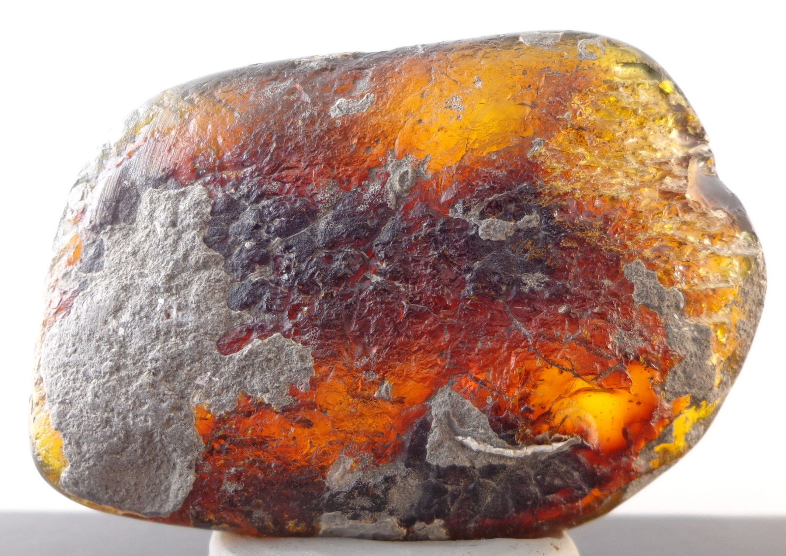 Blue Green Mexican Amber Resin Fossil Top Polished with Moss