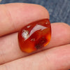 Red Green Mexican Amber Stone Fossil Polished Great Clarity 2.6g
