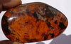 Red Blue Green Mexican Amber Stone Fossil Polished Chiapas 61.5g