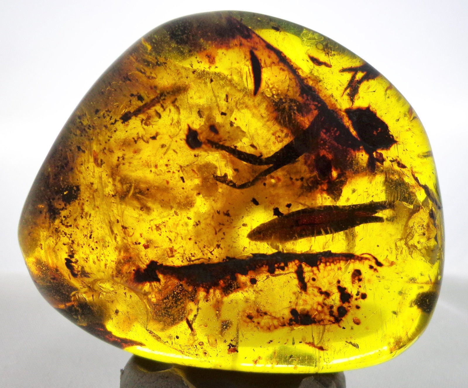 Rare Mexican Amber Stone Flower Petals inclusion Full Polished 46.5g