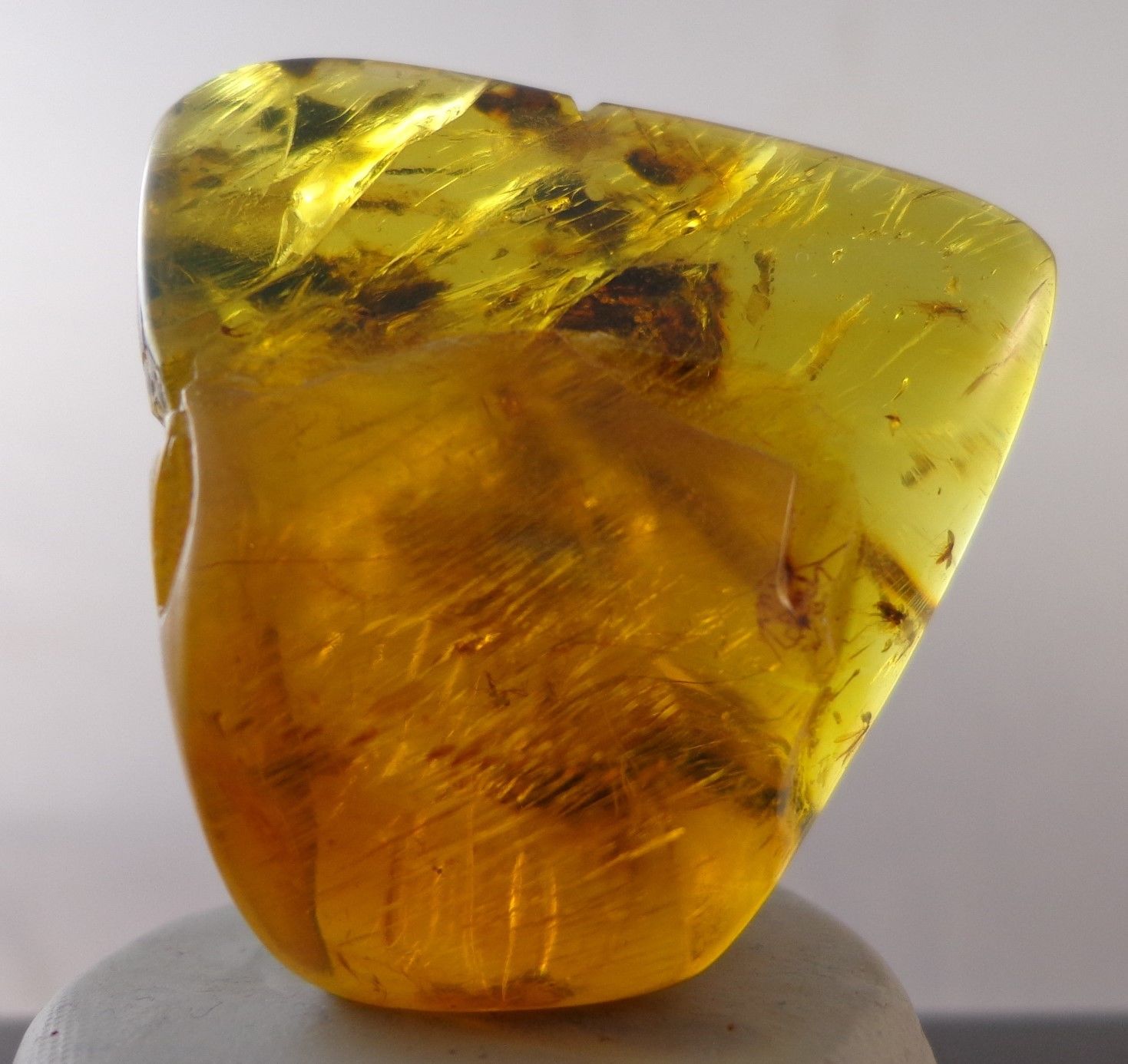 Mexican Blue Green Amber w Spider fossil Full Polished from Chiapas Mexico 9.9g