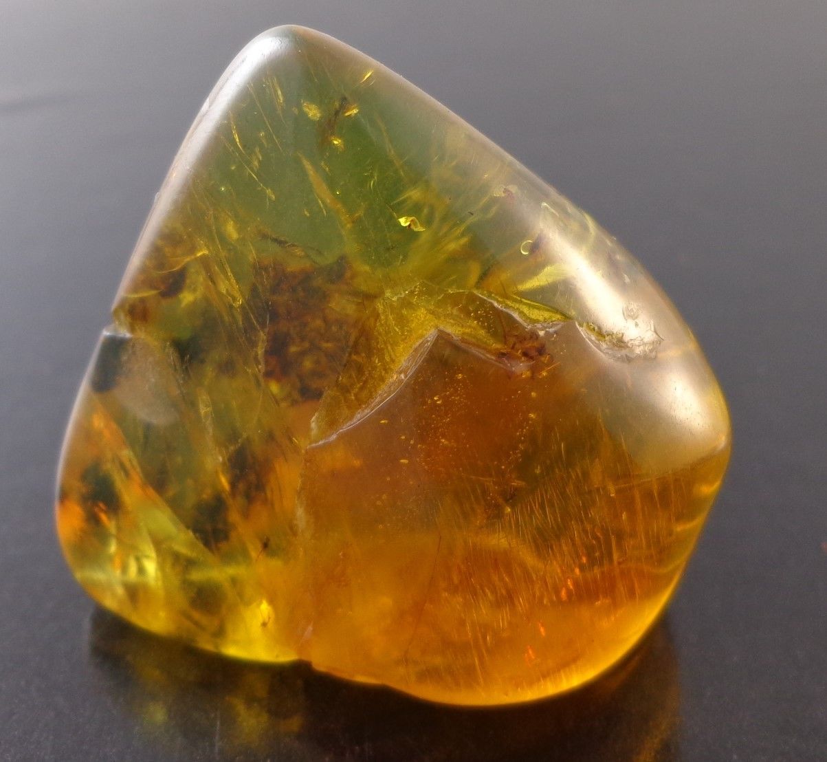 Mexican Blue Green Amber w Spider fossil Full Polished from Chiapas Mexico 9.9g
