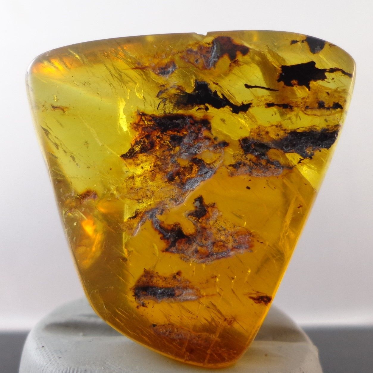 Mexican Blue Green Amber w Spider fossil Full Polished from Chiapas Mexico 9.9g