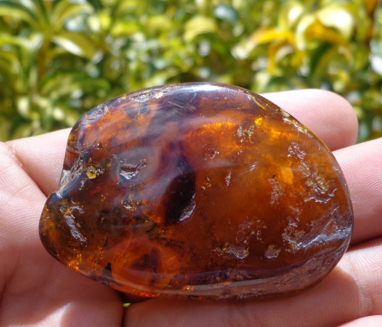 Polished Green Mexican Amber Speciemen 13g