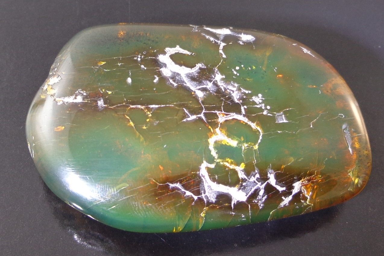 Blue Green Mexican Amber Resin Fossil Top Polished with Moss Inclusion 38g