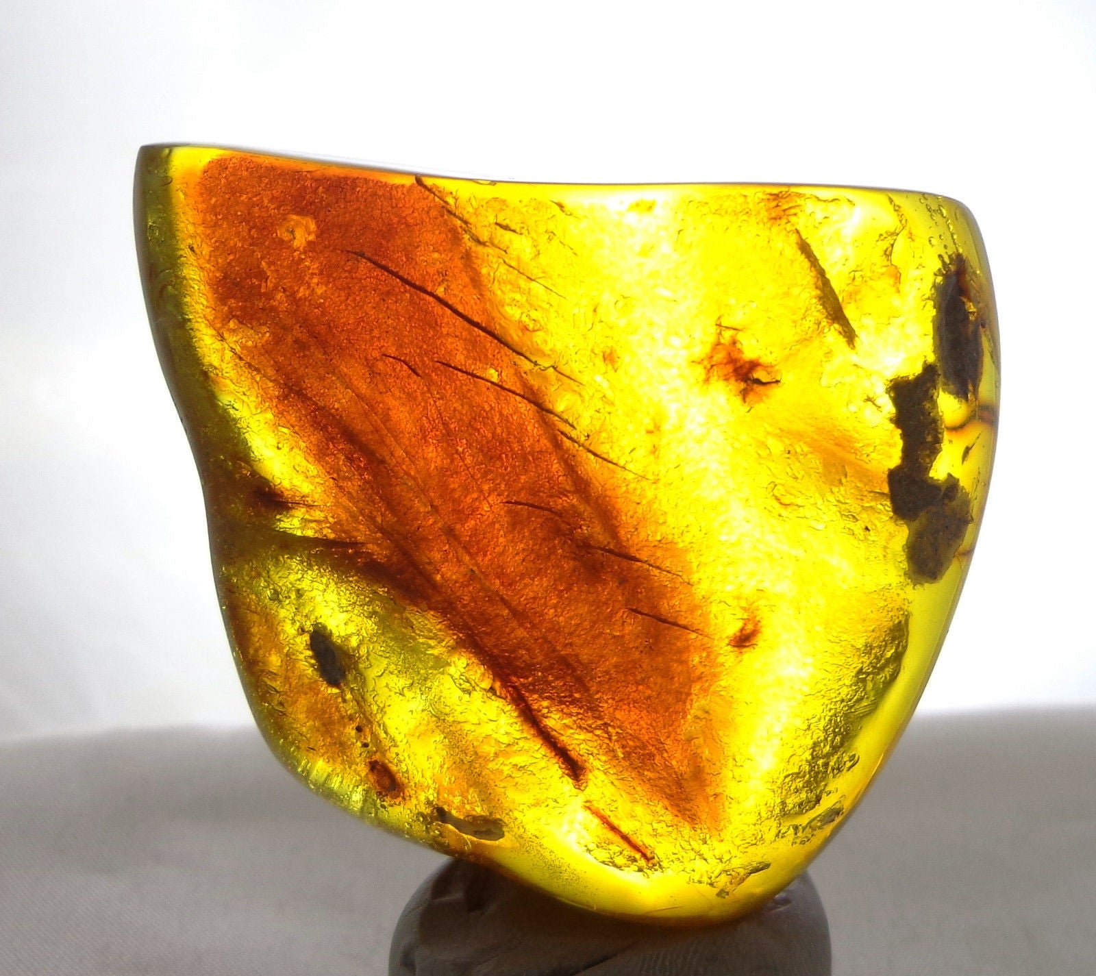 Blue Green Mexican Amber Stone with Mosquito Insect Cockroach parts inside 35.5g