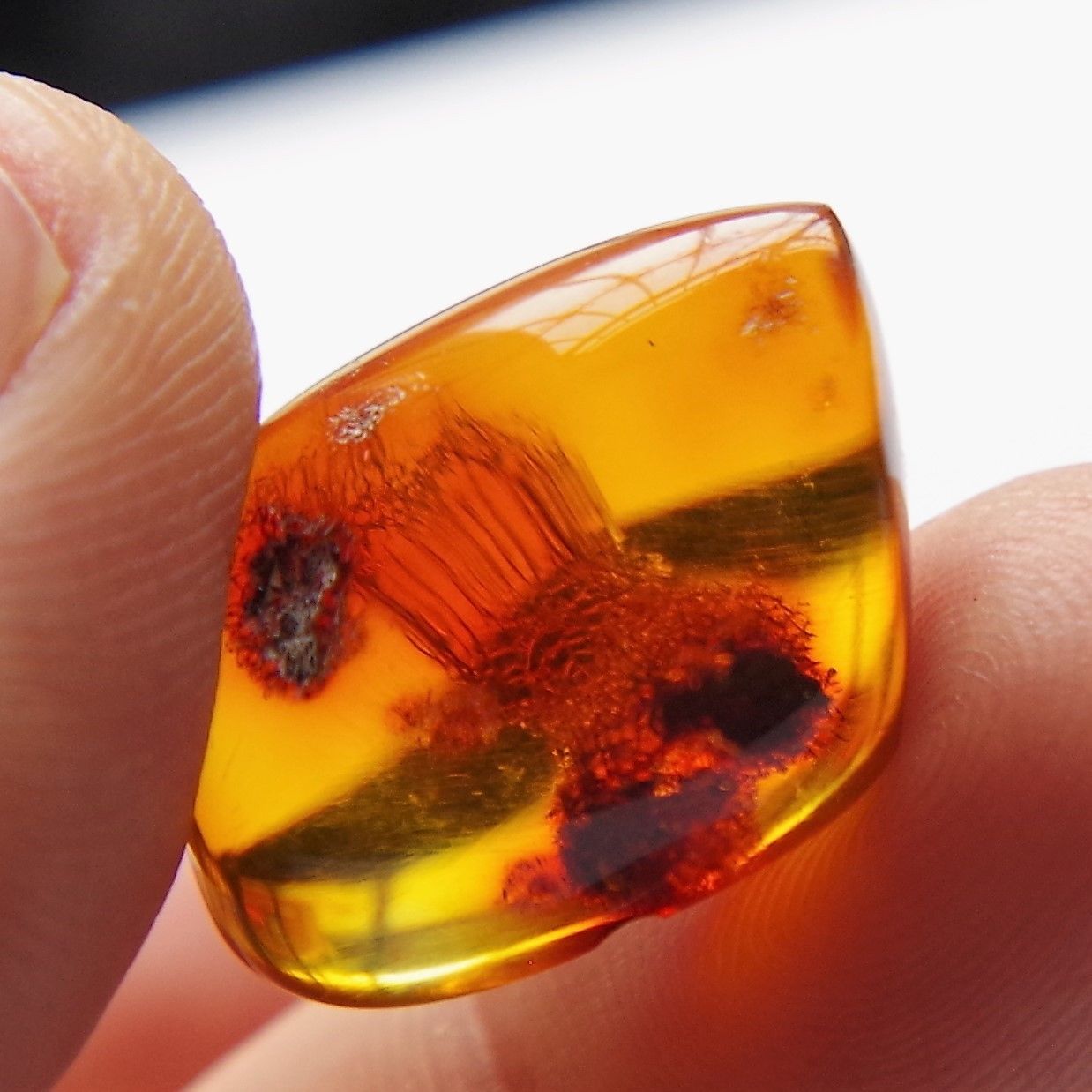 Red Green Mexican Amber Stone Fossil Polished Great Clarity 2.6g