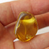 Green Mexican Amber Stone Full Polished Good Clarity w Some Moss Inclusion 4.8g