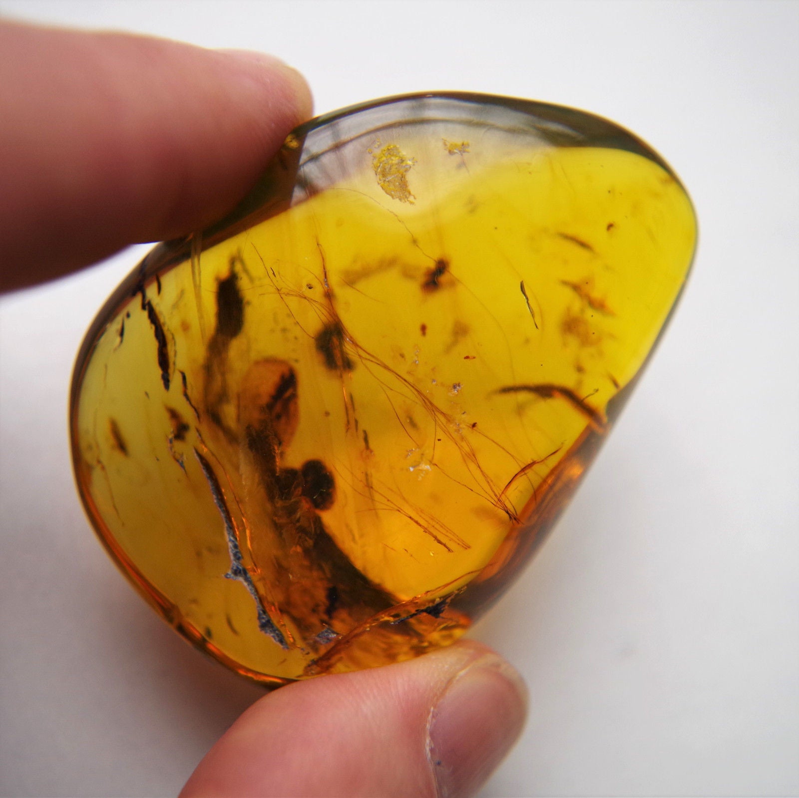 Blue Green Mexican Amber Polished Clear stone with Mammal Hair Inside 23.7 g