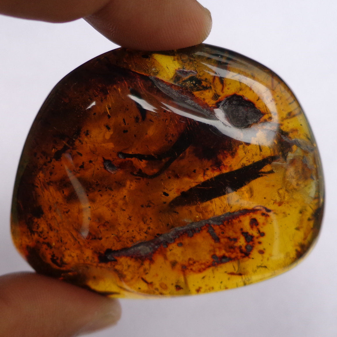 Rare Mexican Amber Stone Flower Petals inclusion Full Polished 46.5g