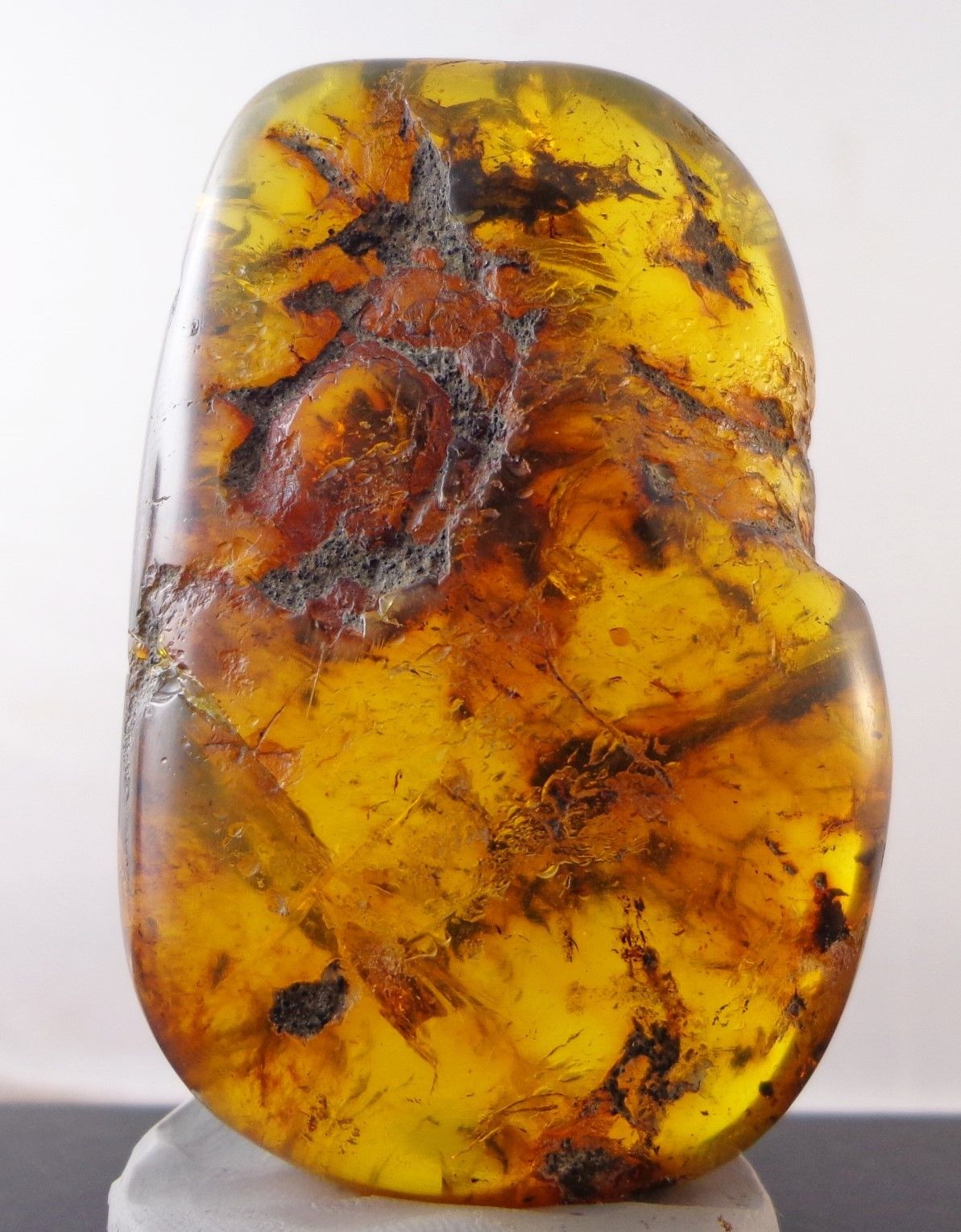 Mexican Green Amber Stone Fossil Full Polished From Chiapas 30.2g