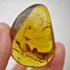Blue Green Mexican Amber Polished Clear stone with Mammal Hair Inside 23.7 g
