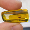 Green Mexican Amber Stone Good Clarity w Insect Inside Full Polished 7.3g